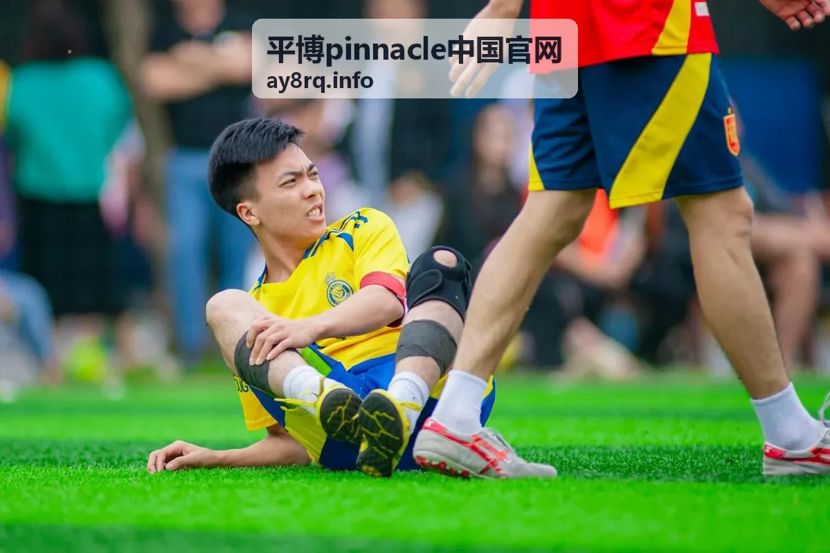 平博pinnacle指数分析工具功能说明